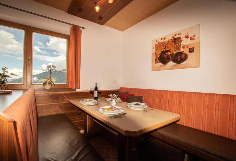 Ferienhaus In Panoramalage Kitzbühler Alpen By Fewo Plan Wild190