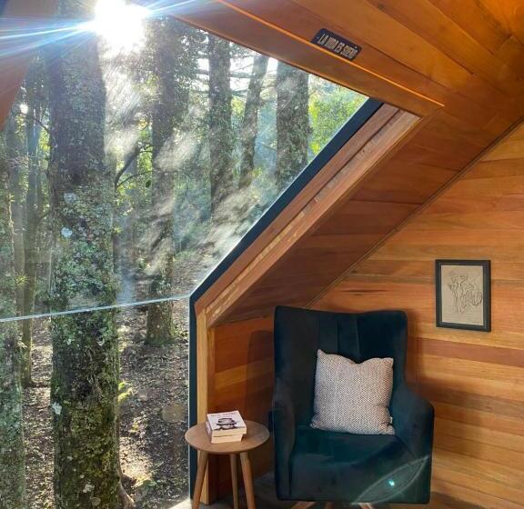 La Negra   Cabana Entre Araucárias