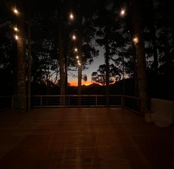 La Negra   Cabana Entre Araucárias