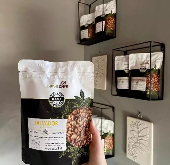 ペンション Penzion U Přehrady