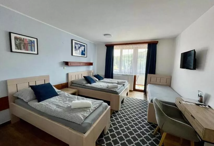 ペンション Penzion U Přehrady