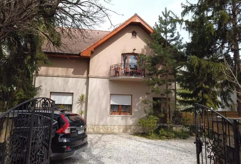 ペンション Vicze Apartmanház