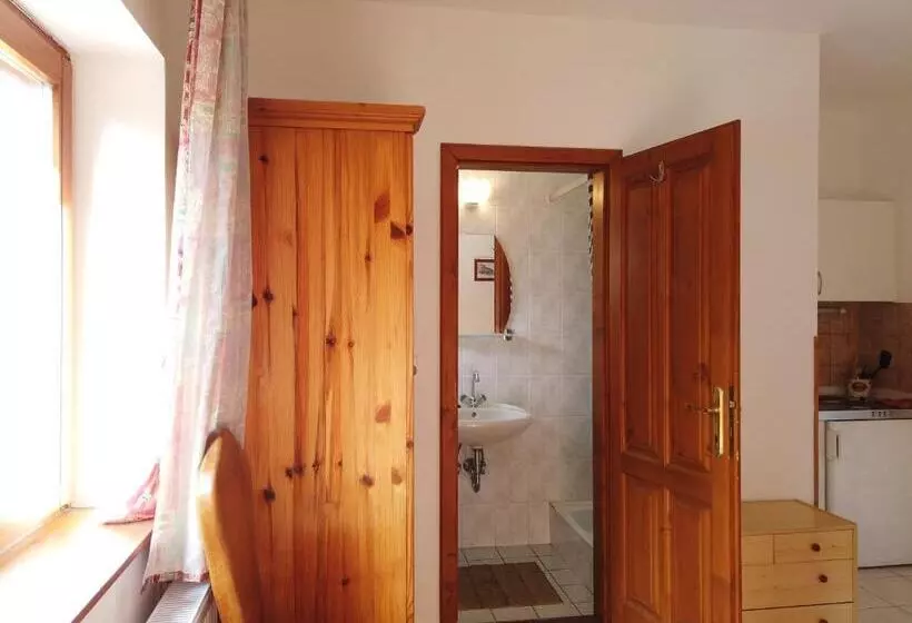 ペンション Vicze Apartmanház