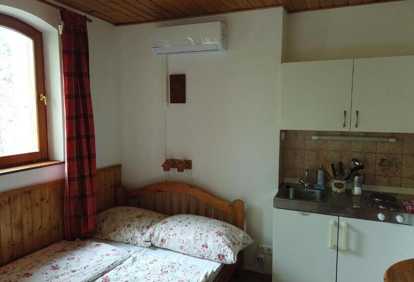 펜션 Vicze Apartmanház