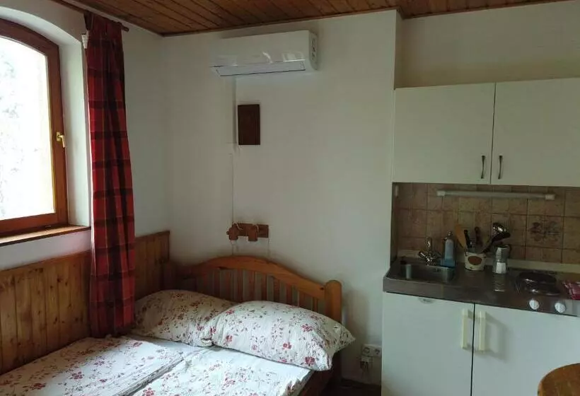 ペンション Vicze Apartmanház