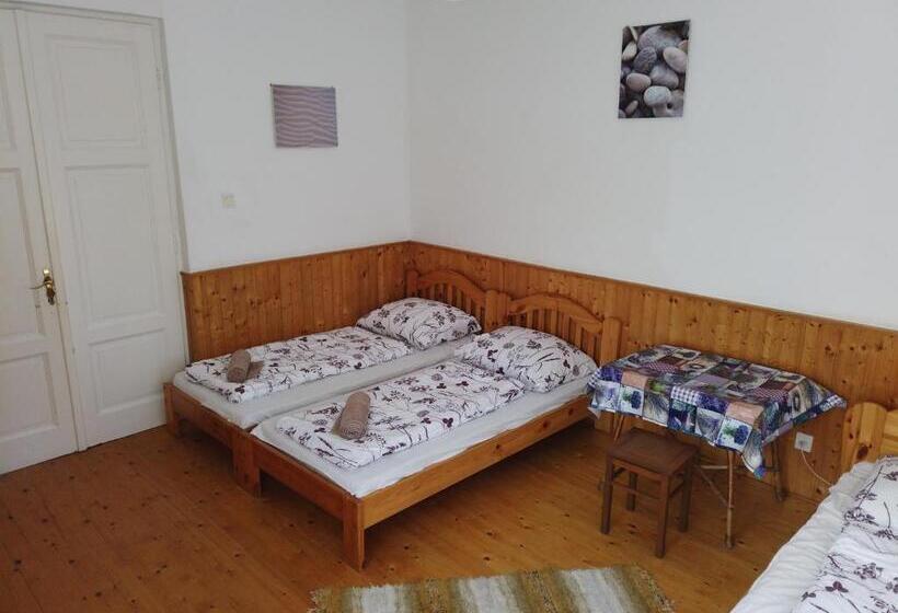 펜션 Vicze Apartmanház