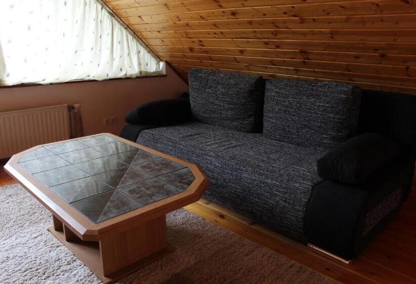 펜션 Vicze Apartmanház