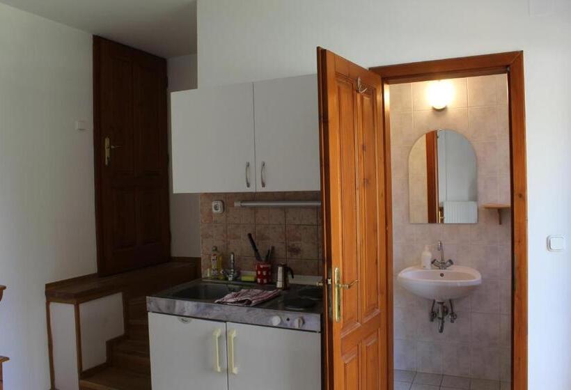 펜션 Vicze Apartmanház