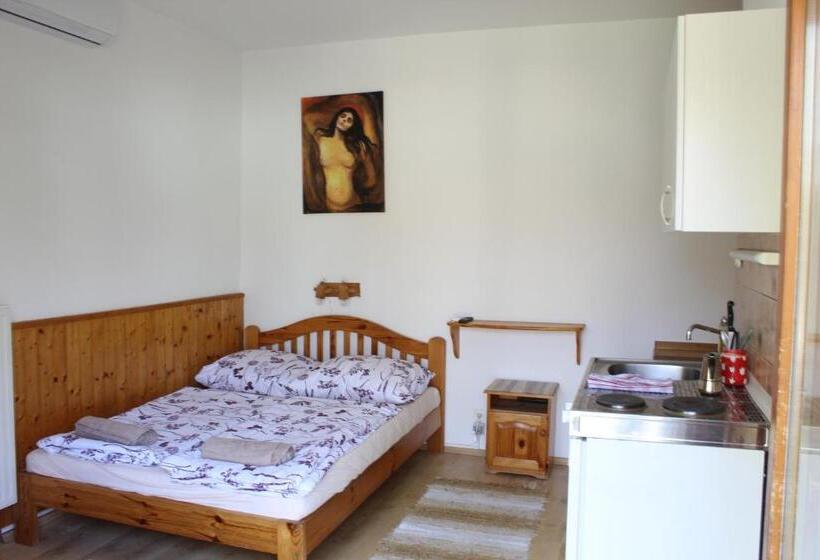 펜션 Vicze Apartmanház