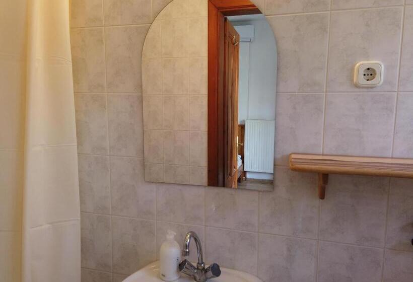 펜션 Vicze Apartmanház