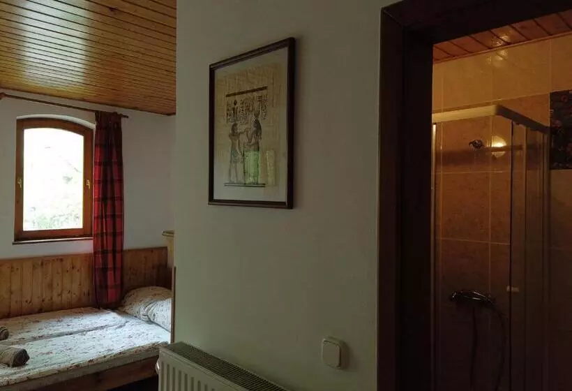 ペンション Vicze Apartmanház