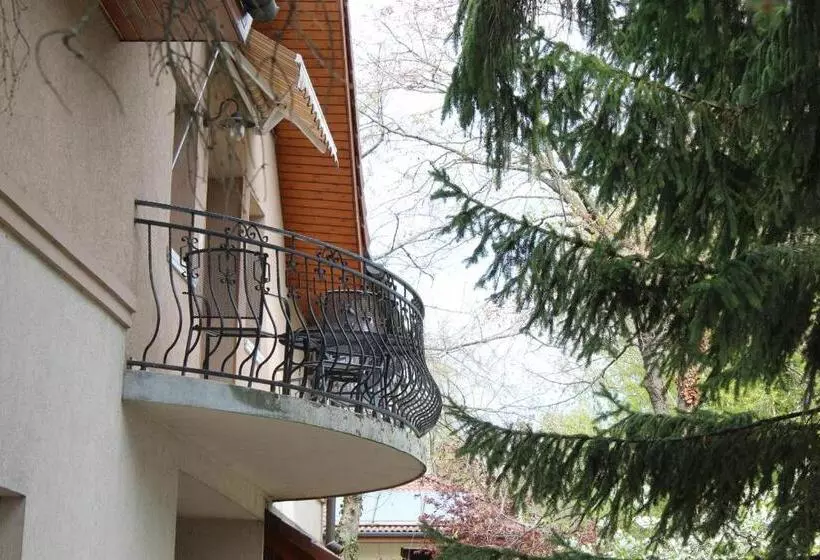 ペンション Vicze Apartmanház