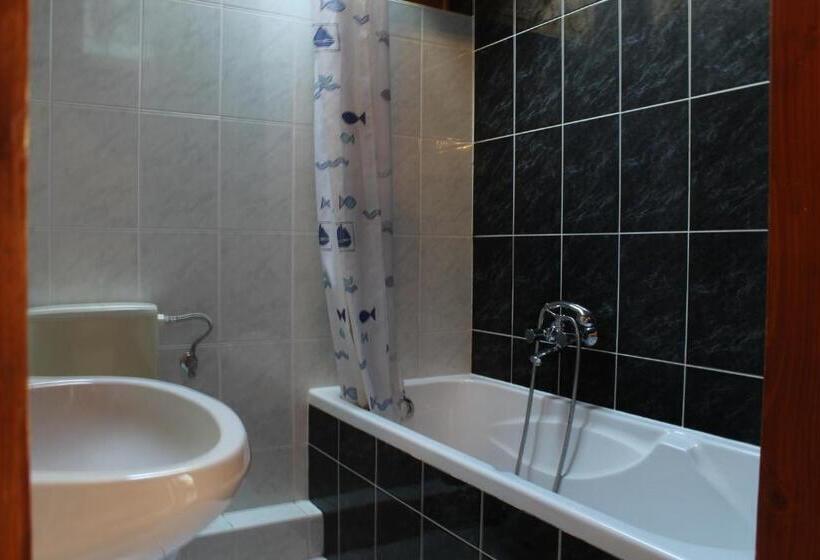 펜션 Vicze Apartmanház