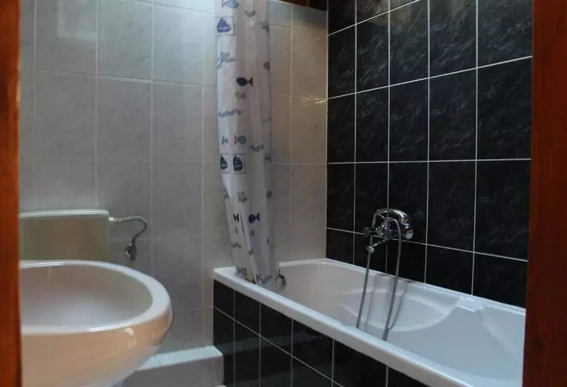 ペンション Vicze Apartmanház