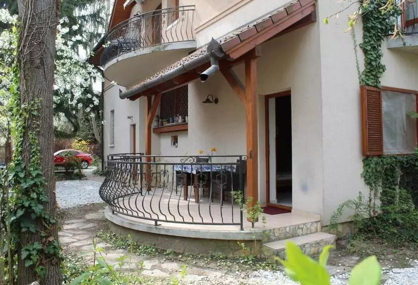 ペンション Vicze Apartmanház