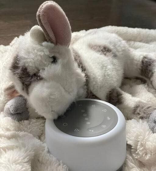 Shore Drive 2 Bedroom/2 Bath/bunk/queen Oasis