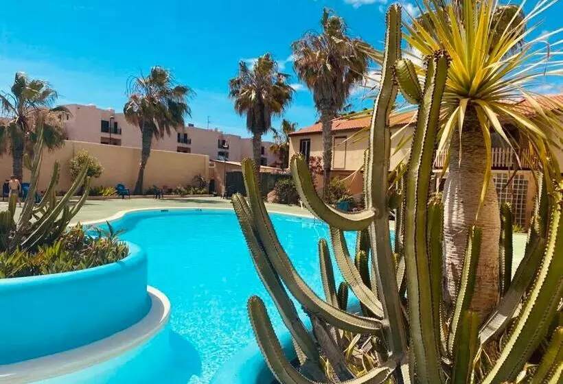Surf And Chill Bungalow 70