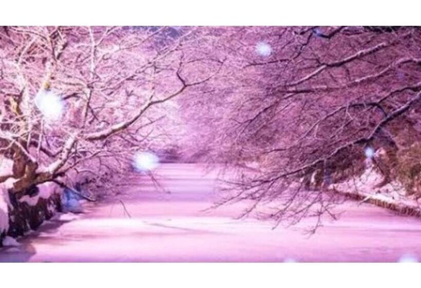 فندق Hostel Hirosaki  Mixed Dormitory Vacation Stay 32012v