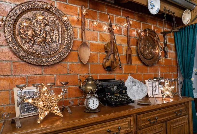 酒店 șura Lu  Pătru