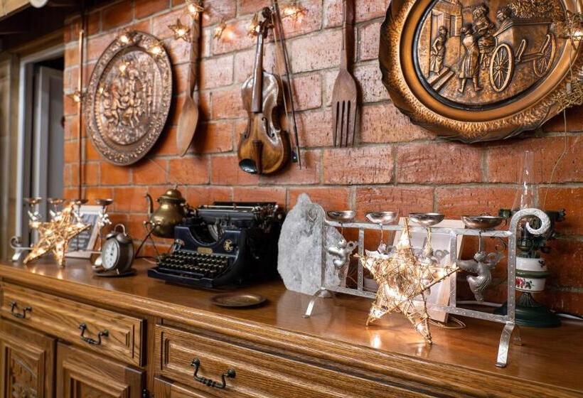 酒店 șura Lu  Pătru