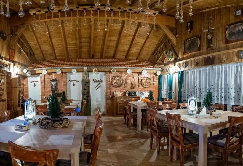 酒店 șura Lu  Pătru