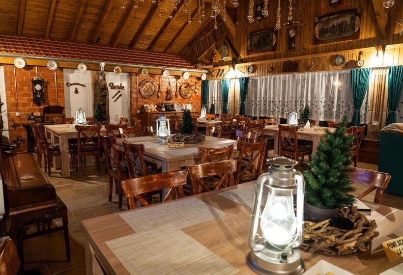 酒店 șura Lu  Pătru