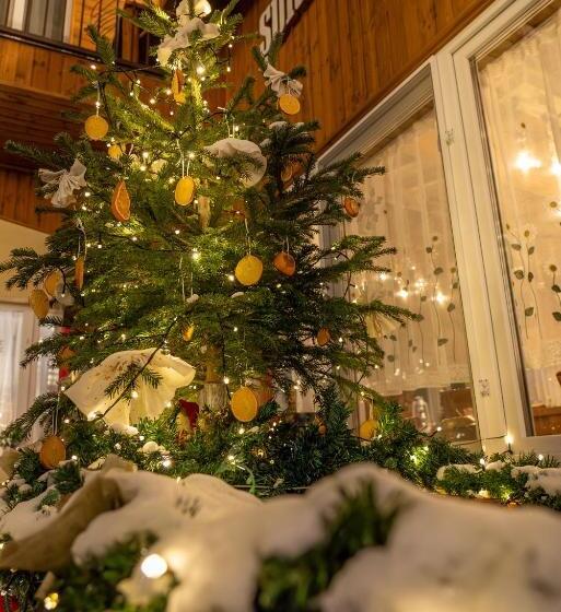 酒店 șura Lu  Pătru