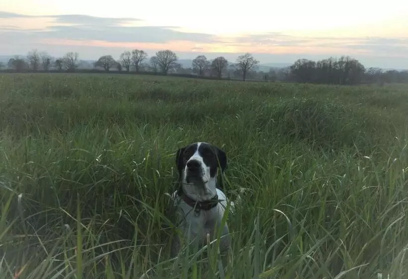 Large House On Farm With Own Heated Pool, As Seen On Bbc Tv