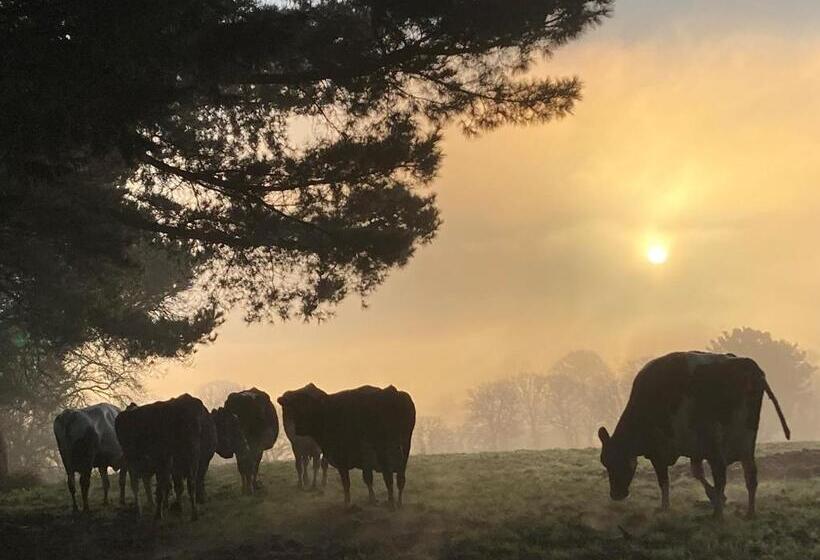 Large House On Farm With Own Heated Pool, As Seen On Bbc Tv