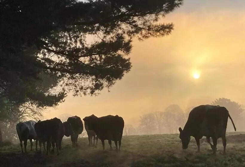 Large House On Farm With Own Heated Pool, As Seen On Bbc Tv