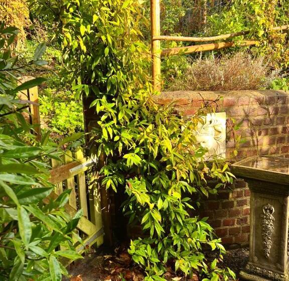 Lewes Beautiful Sunny Flat In The Historic Town