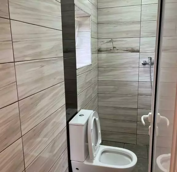 ペンション вила никови