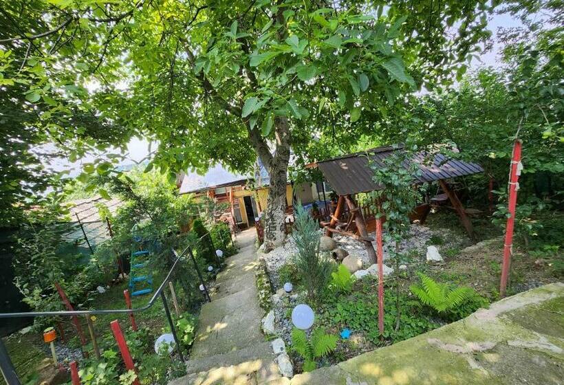 پانسیون Casa Rool