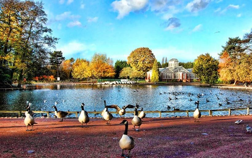 West Park Annex Central Wolverhampton