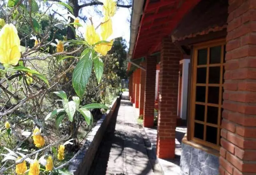 Отель Bougainville