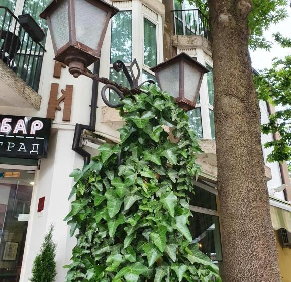 Hôtel семеен хотел българи