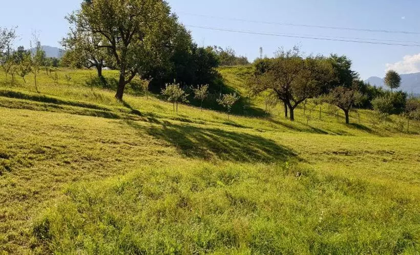 Pensiunea La Rusu