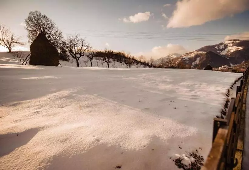 Pensiunea La Rusu