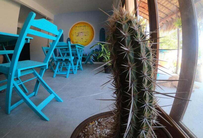 Hostel Pousada Cactus Jeri