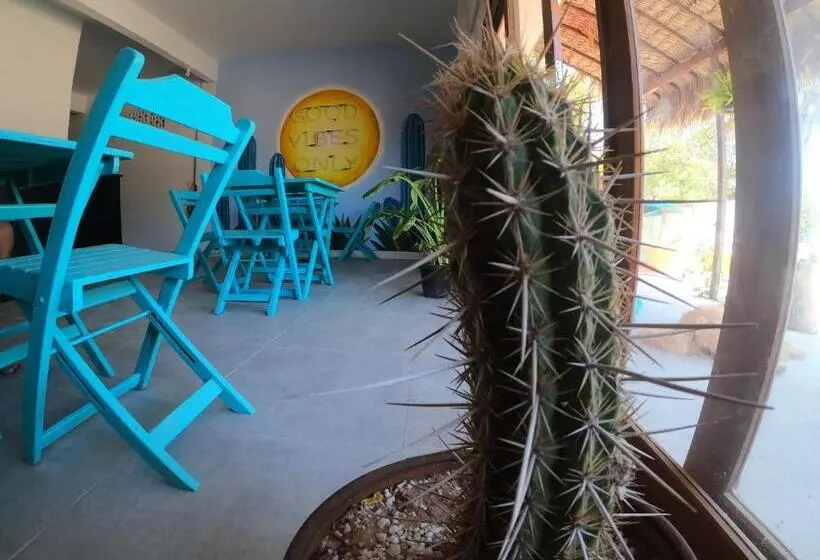 Retkeilymaja Pousada Cactus Jeri