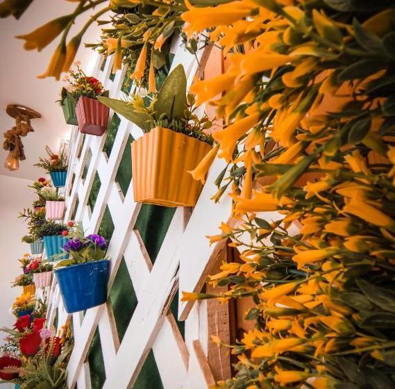 Bamboo House Hotel Dahab