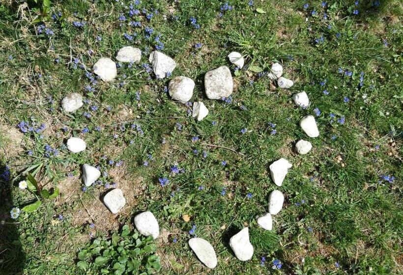 Ferienwohnung Im Seidlerhof Mit Terrasse