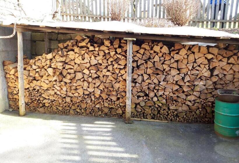 Ferienwohnung Im Seidlerhof Mit Terrasse