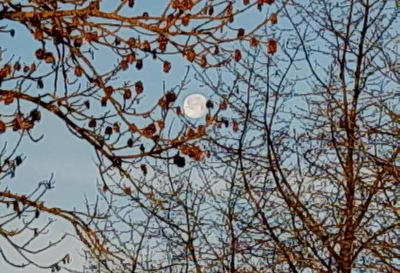 Ferienwohnung Im Seidlerhof Mit Terrasse
