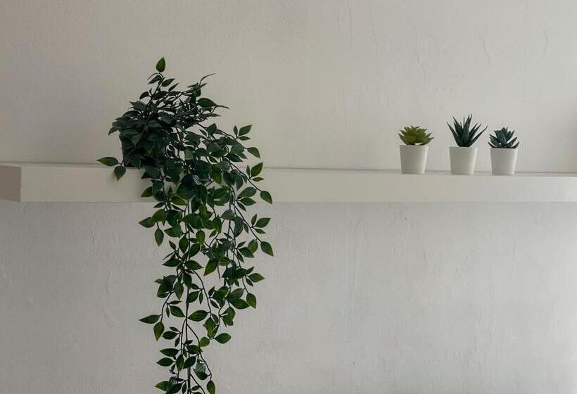 La Casa De San Nicolás