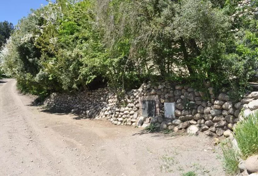 Melodia Natural En San Martín De Los Andes