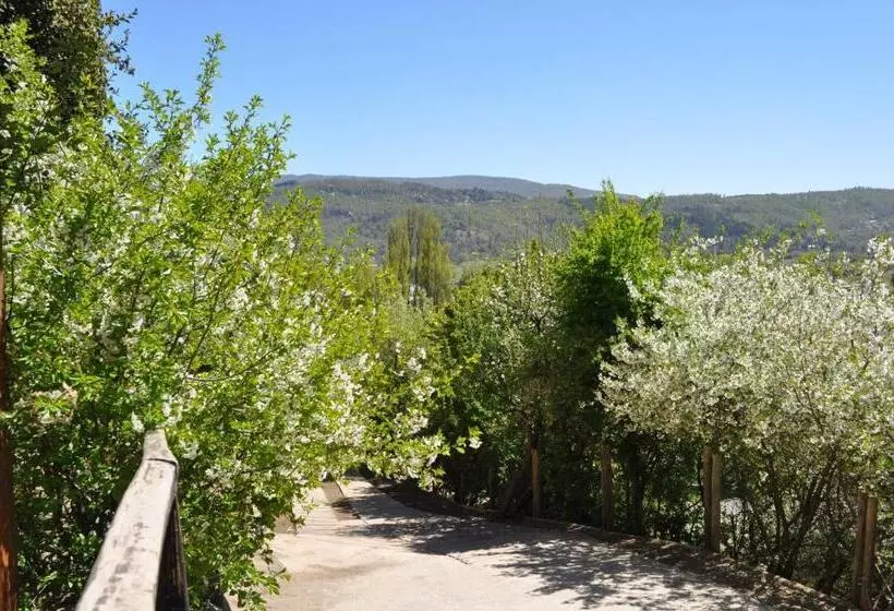 Melodia Natural En San Martín De Los Andes