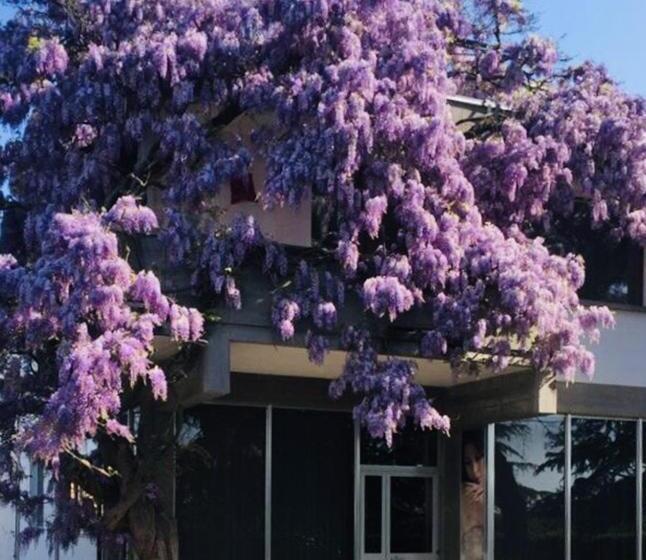 פנסיון Garden Of Venice