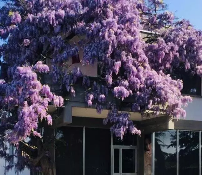 ペンション Garden Of Venice