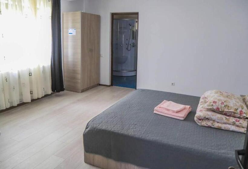 ペンション Hățașul Bunicului